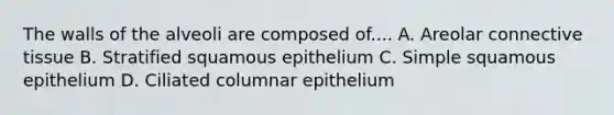 The walls of the alveoli are composed of.... A. Areolar connective tissue B. Stratified squamous epithelium C. Simple squamous epithelium D. Ciliated columnar epithelium