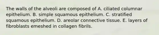 The walls of the alveoli are composed of A. ciliated columnar epithelium. B. simple squamous epithelium. C. stratified squamous epithelium. D. areolar connective tissue. E. layers of fibroblasts emeshed in collagen fibrils.