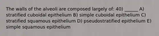 The walls of the alveoli are composed largely of: 40) ______ A) stratified cuboidal epithelium B) simple cuboidal epithelium C) stratified squamous epithelium D) pseudostratified epithelium E) simple squamous epithelium