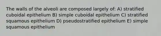 The walls of the alveoli are composed largely of: A) stratified cuboidal epithelium B) simple cuboidal epithelium C) stratified squamous epithelium D) pseudostratified epithelium E) simple squamous epithelium