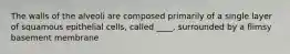 The walls of the alveoli are composed primarily of a single layer of squamous epithelial cells, called ____, surrounded by a flimsy basement membrane