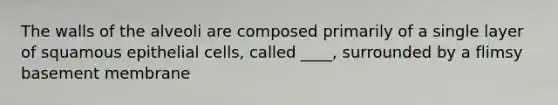 The walls of the alveoli are composed primarily of a single layer of squamous epithelial cells, called ____, surrounded by a flimsy basement membrane