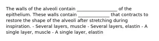 The walls of the alveoli contain __________________ of the epithelium. These walls contain ______________ that contracts to restore the shape of the alveoli after stretching during inspiration. - Several layers, muscle - Several layers, elastin - A single layer, muscle - A single layer, elastin