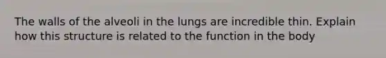 The walls of the alveoli in the lungs are incredible thin. Explain how this structure is related to the function in the body