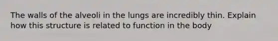 The walls of the alveoli in the lungs are incredibly thin. Explain how this structure is related to function in the body