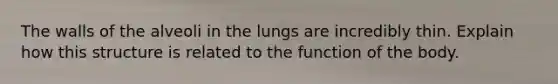 The walls of the alveoli in the lungs are incredibly thin. Explain how this structure is related to the function of the body.