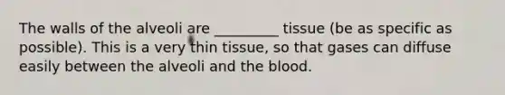 The walls of the alveoli are _________ tissue (be as specific as possible). This is a very thin tissue, so that gases can diffuse easily between the alveoli and the blood.