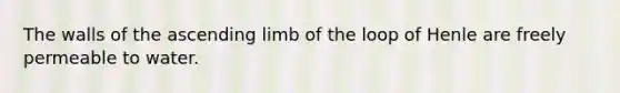 The walls of the ascending limb of the loop of Henle are freely permeable to water.