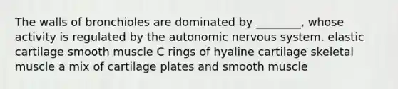 The walls of bronchioles are dominated by ________, whose activity is regulated by the autonomic nervous system. elastic cartilage smooth muscle C rings of hyaline cartilage skeletal muscle a mix of cartilage plates and smooth muscle