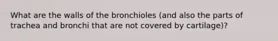 What are the walls of the bronchioles (and also the parts of trachea and bronchi that are not covered by cartilage)?