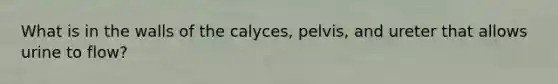 What is in the walls of the calyces, pelvis, and ureter that allows urine to flow?