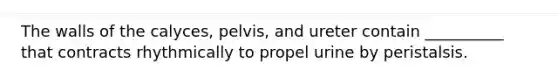 The walls of the calyces, pelvis, and ureter contain __________ that contracts rhythmically to propel urine by peristalsis.