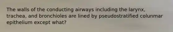 The walls of the conducting airways including the larynx, trachea, and bronchioles are lined by pseudostratified colunmar epithelium except what?