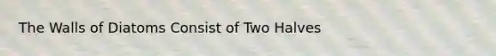 The Walls of Diatoms Consist of Two Halves