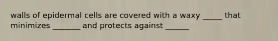 walls of epidermal cells are covered with a waxy _____ that minimizes _______ and protects against ______