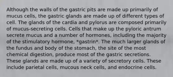 Although the walls of the gastric pits are made up primarily of mucus cells, the gastric glands are made up of different types of cell. The glands of the cardia and pylorus are composed primarily of mucus-secreting cells. Cells that make up the pyloric antrum secrete mucus and a number of hormones, including the majority of the stimulatory hormone, *gastrin*. The much larger glands of the fundus and body of the stomach, the site of the most chemical digestion, produce most of the gastric secretions. These glands are made up of a variety of secretory cells. These include parietal cells, mucous neck cells, and endocrine cells.