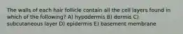 The walls of each hair follicle contain all the cell layers found in which of the following? A) hypodermis B) dermis C) subcutaneous layer D) epidermis E) basement membrane