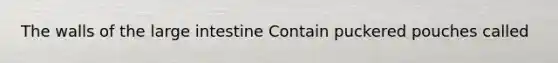 The walls of the large intestine Contain puckered pouches called