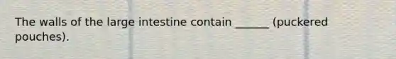 The walls of the large intestine contain ______ (puckered pouches).