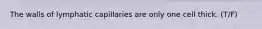 The walls of lymphatic capillaries are only one cell thick. (T/F)