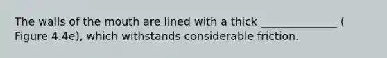 The walls of the mouth are lined with a thick ______________ ( Figure 4.4e), which withstands considerable friction.