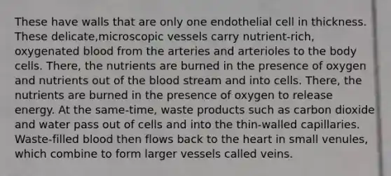 These have walls that are only one endothelial cell in thickness. These delicate,microscopic vessels carry nutrient-rich, oxygenated blood from the arteries and arterioles to the body cells. There, the nutrients are burned in the presence of oxygen and nutrients out of the blood stream and into cells. There, the nutrients are burned in the presence of oxygen to release energy. At the same-time, waste products such as carbon dioxide and water pass out of cells and into the thin-walled capillaries. Waste-filled blood then flows back to the heart in small venules, which combine to form larger vessels called veins.