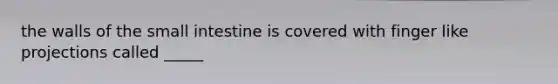the walls of the small intestine is covered with finger like projections called _____