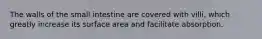 The walls of the small intestine are covered with villi, which greatly increase its surface area and facilitate absorption.