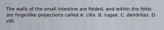 The walls of the small intestine are folded, and within the folds are fingerlike projections called A. cilia. B. rugae. C. dendrites. D. villi.