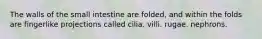 The walls of the small intestine are folded, and within the folds are fingerlike projections called cilia. villi. rugae. nephrons.