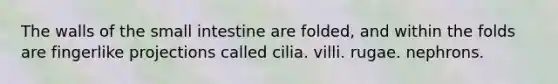 The walls of the small intestine are folded, and within the folds are fingerlike projections called cilia. villi. rugae. nephrons.