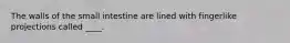 The walls of the small intestine are lined with fingerlike projections called ____.