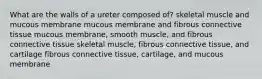 What are the walls of a ureter composed of? skeletal muscle and mucous membrane mucous membrane and fibrous connective tissue mucous membrane, smooth muscle, and fibrous connective tissue skeletal muscle, fibrous connective tissue, and cartilage fibrous connective tissue, cartilage, and mucous membrane