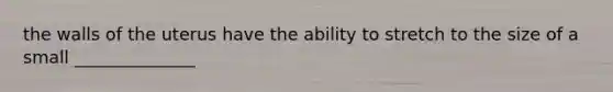 the walls of the uterus have the ability to stretch to the size of a small ______________