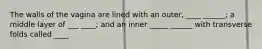 The walls of the vagina are lined with an outer, ____ ______; a middle layer of ___ ____; and an inner _____ ______ with transverse folds called ____
