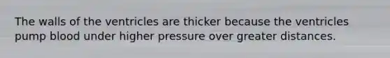 The walls of the ventricles are thicker because the ventricles pump blood under higher pressure over greater distances.