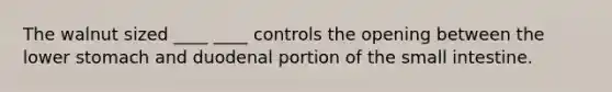 The walnut sized ____ ____ controls the opening between the lower stomach and duodenal portion of the small intestine.