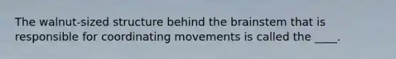 The walnut-sized structure behind the brainstem that is responsible for coordinating movements is called the ____.