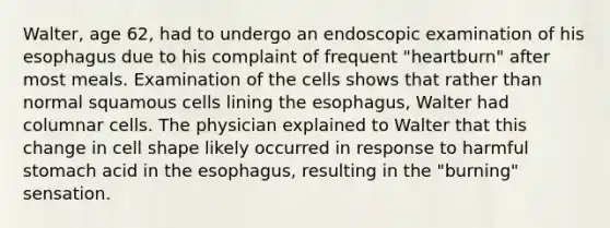 Walter, age 62, had to undergo an endoscopic examination of his esophagus due to his complaint of frequent "heartburn" after most meals. Examination of the cells shows that rather than normal squamous cells lining the esophagus, Walter had columnar cells. The physician explained to Walter that this change in cell shape likely occurred in response to harmful stomach acid in the esophagus, resulting in the "burning" sensation.