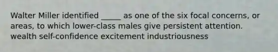 Walter Miller identified _____ as one of the six focal concerns, or areas, to which lower-class males give persistent attention. wealth self-confidence excitement industriousness