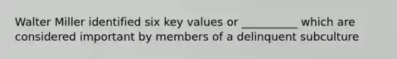 Walter Miller identified six key values or __________ which are considered important by members of a delinquent subculture