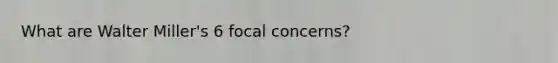 What are Walter Miller's 6 focal concerns?