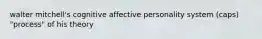 walter mitchell's cognitive affective personality system (caps) "process" of his theory