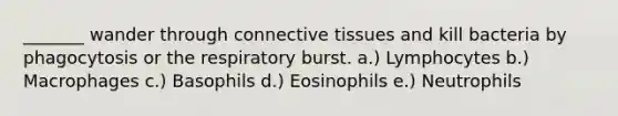 _______ wander through connective tissues and kill bacteria by phagocytosis or the respiratory burst. a.) Lymphocytes b.) Macrophages c.) Basophils d.) Eosinophils e.) Neutrophils