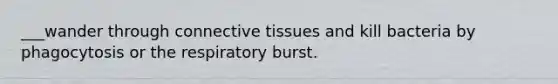 ___wander through connective tissues and kill bacteria by phagocytosis or the respiratory burst.