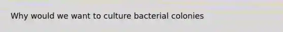 Why would we want to culture bacterial colonies