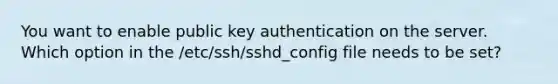 You want to enable public key authentication on the server. Which option in the /etc/ssh/sshd_config file needs to be set?