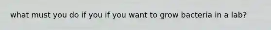 what must you do if you if you want to grow bacteria in a lab?