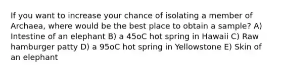 If you want to increase your chance of isolating a member of Archaea, where would be the best place to obtain a sample? A) Intestine of an elephant B) a 45oC hot spring in Hawaii C) Raw hamburger patty D) a 95oC hot spring in Yellowstone E) Skin of an elephant