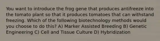 You want to introduce the frog gene that produces antifreeze into the tomato plant so that it produces tomatoes that can withstand freezing. Which of the following biotechnology methods would you choose to do this? A) Marker Assisted Breeding B) Genetic Engineering C) Cell and Tissue Culture D) Hybridization